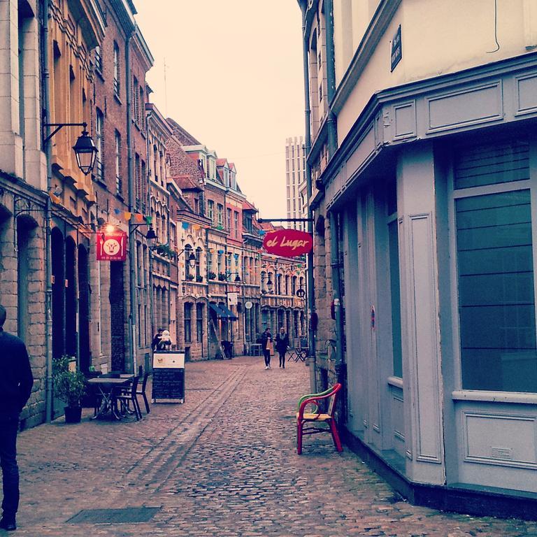 Lille Centre Ville, Beaux Arts Et Grand Palais, Bienvenue Chez Nestyou Λιλ Εξωτερικό φωτογραφία
