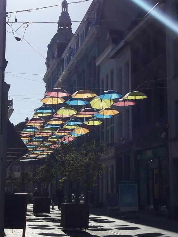 Lille Centre Ville, Beaux Arts Et Grand Palais, Bienvenue Chez Nestyou Λιλ Εξωτερικό φωτογραφία