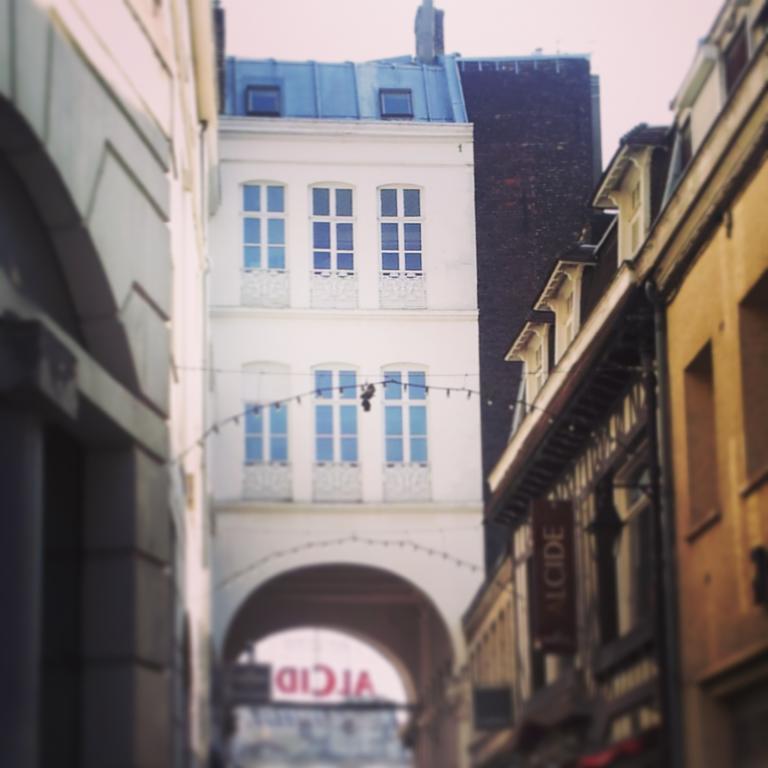 Lille Centre Ville, Beaux Arts Et Grand Palais, Bienvenue Chez Nestyou Λιλ Εξωτερικό φωτογραφία